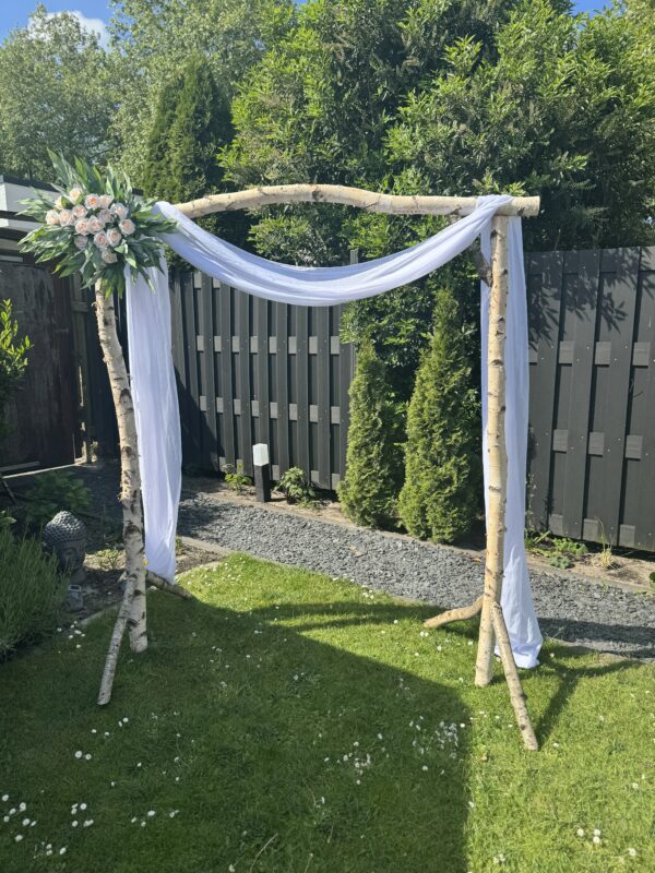 Traubogen Birke